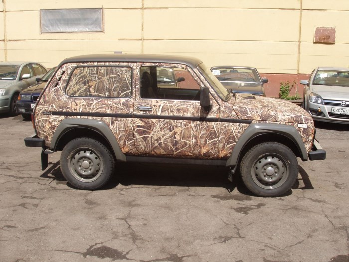 Природный камуфляж на авто камыш